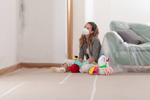 Reliable Mold Cleanup contractor in Todd, PA by Cheap Mold Removal