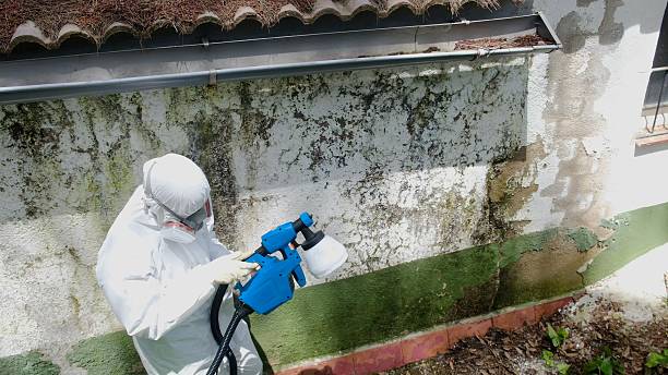 Trusted Crawl Space Mold Removal service in Todd, PA - Cheap Mold Removal